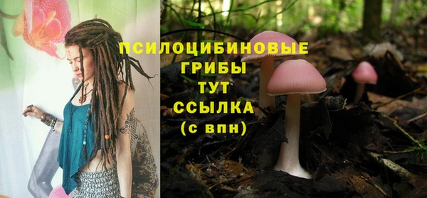 Альфа ПВП Баксан