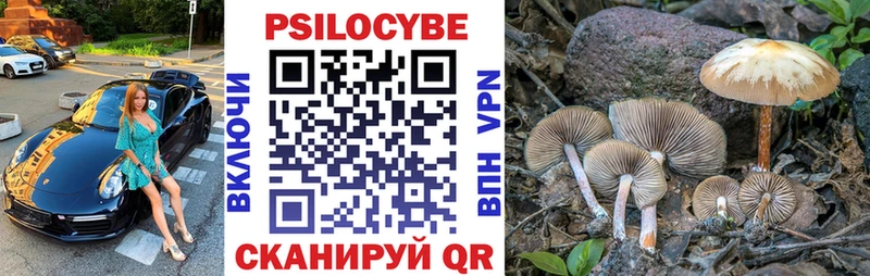 Галлюциногенные грибы мухоморы  Ершов 